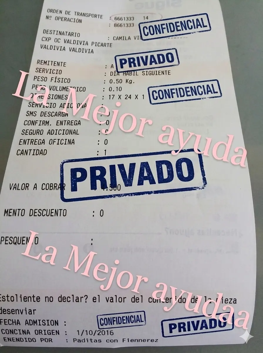 Segundo comprobante histórico de 2016 con datos personales protegidos