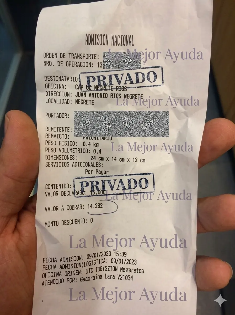 Respaldo histórico de acompañamiento La Mejor Ayuda 2023 02